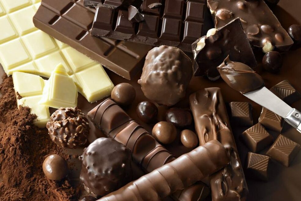 Exposition de chocolats